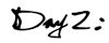 day 2