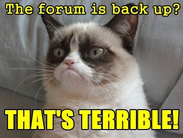 Grumpy-CatFORUM.jpg