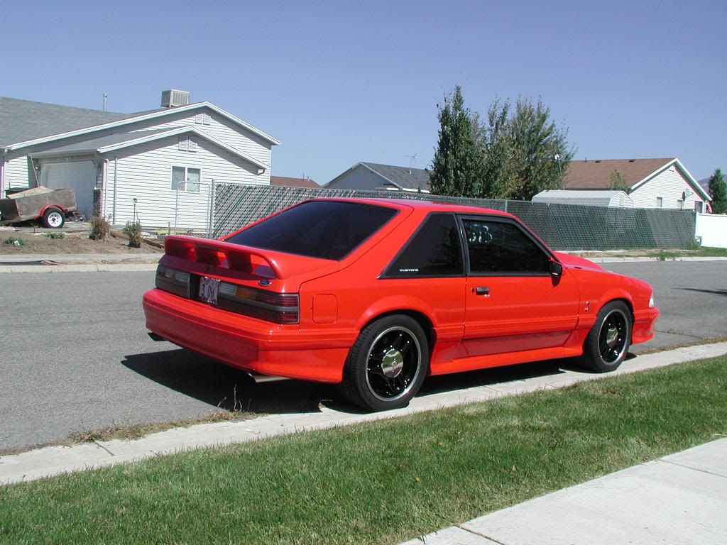 1993 Cobra Registry View Topic Fs 1993 Svt Cobra 1522