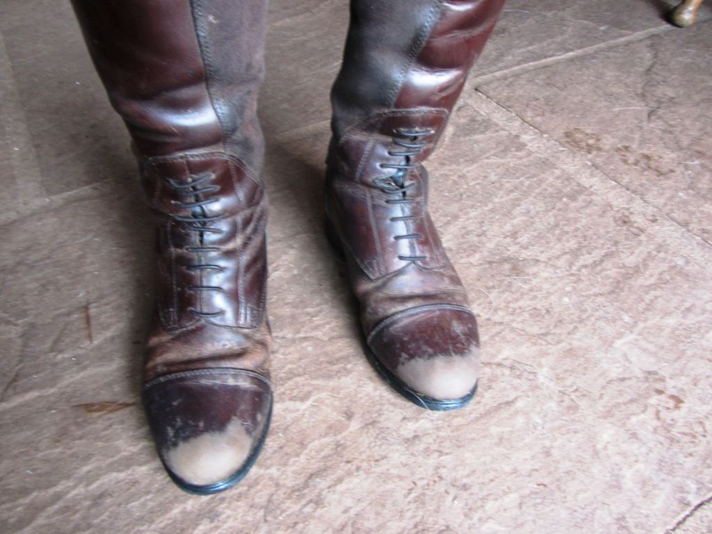 ariat bromont waxed chocolate