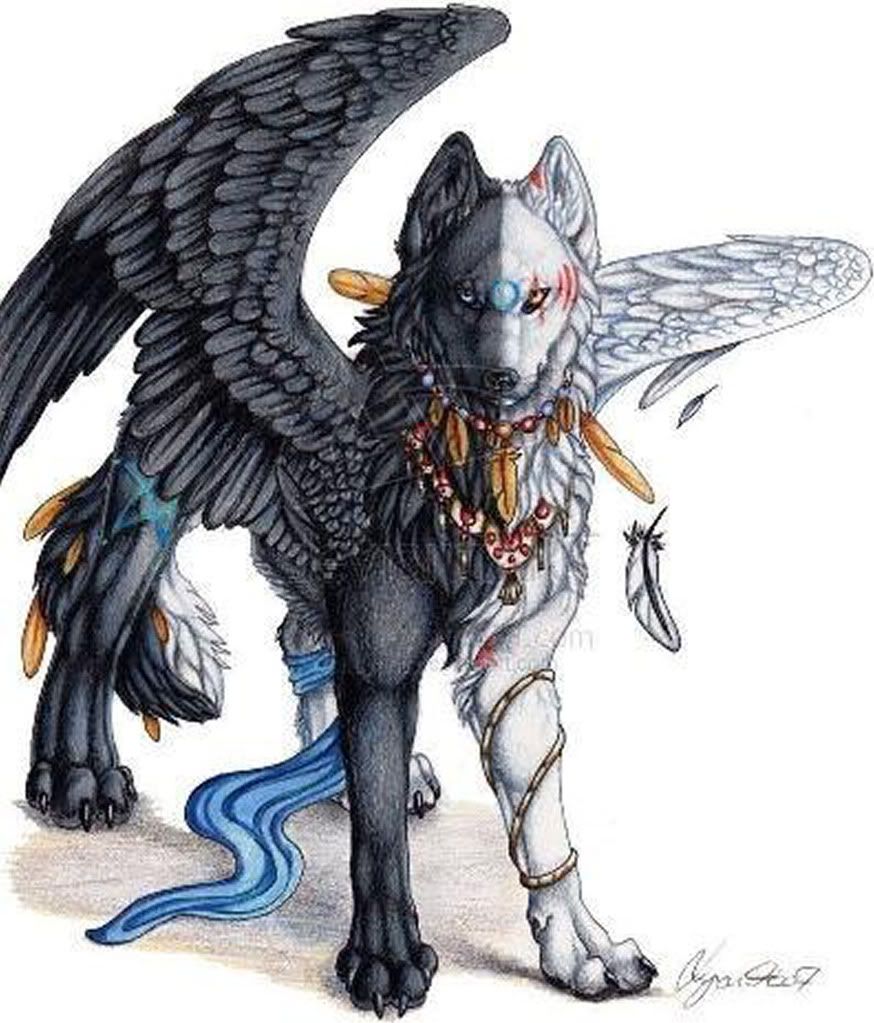 Winged_Twilight.jpg Winged Wolf image by crystalt84