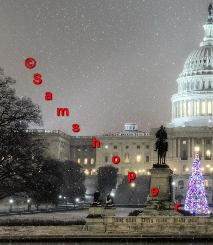 2013 U.S. Capitol Christmas Tree Detail photo 2013USCapitolChristmasTreePhoto2Detail_zps1eeb2c05.jpg