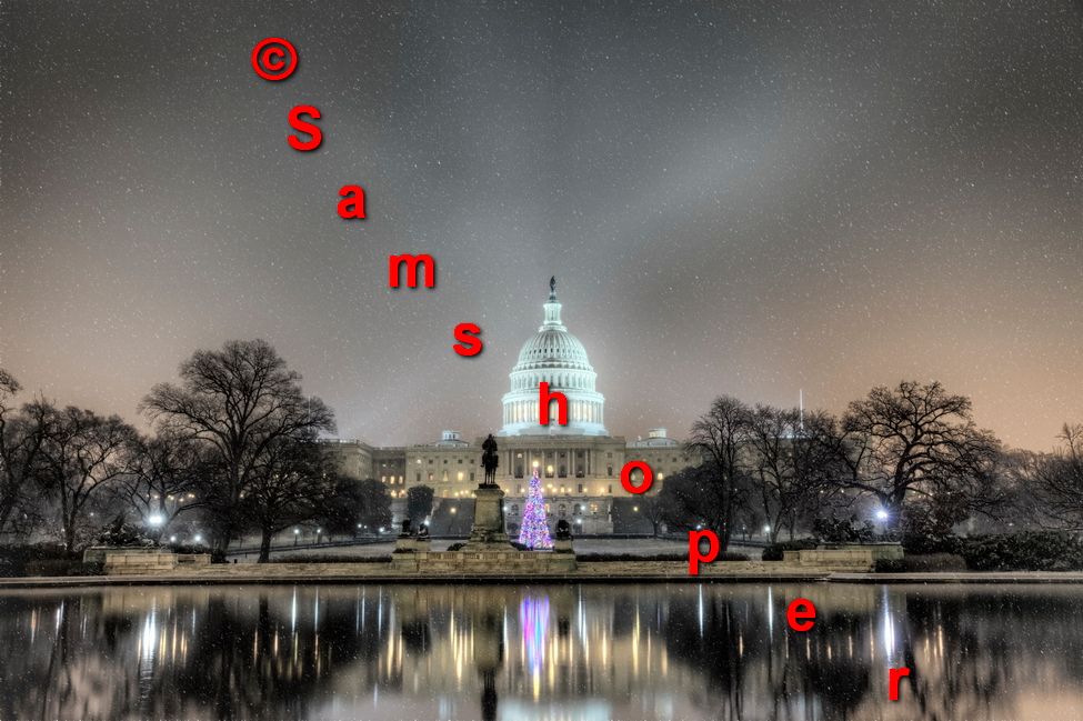 2013 U.S. Capitol Christmas Tree photo 2013USCapitolChristmasTreePhoto2_zps177c78a5.jpg