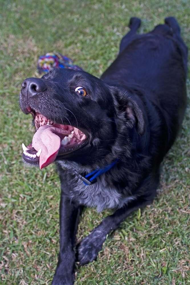 IMAGE: http://i448.photobucket.com/albums/qq207/bradparsons01/IMG_4943.jpg