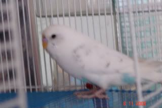 DSC02867.jpg