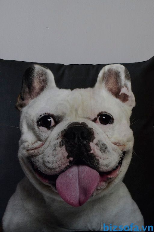 Gối siêu độc - đáng iu tặng bạn gái teen 2015 - 1