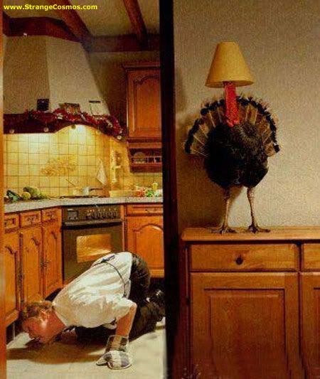thankgiving humor Pictures, Images and Photos