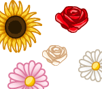 Flower Shower